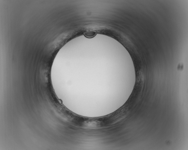 X0000112840452200909111426