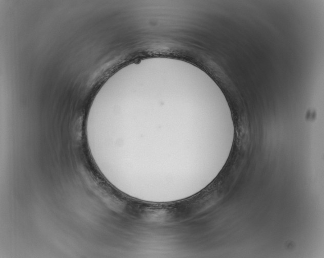 X0000112840454200909111426