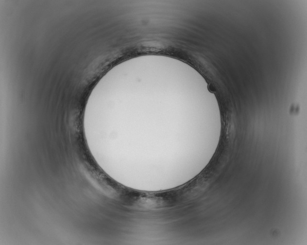 X0000112840455200909111426