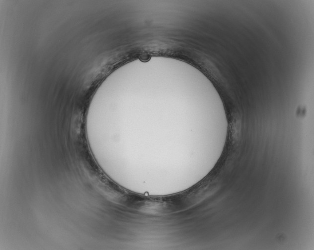 X0000112840458200909111426