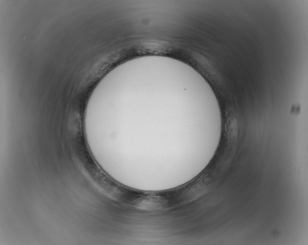 X0000112840459200909111426