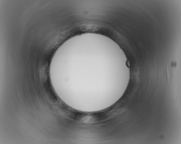 X0000112840460200909111426