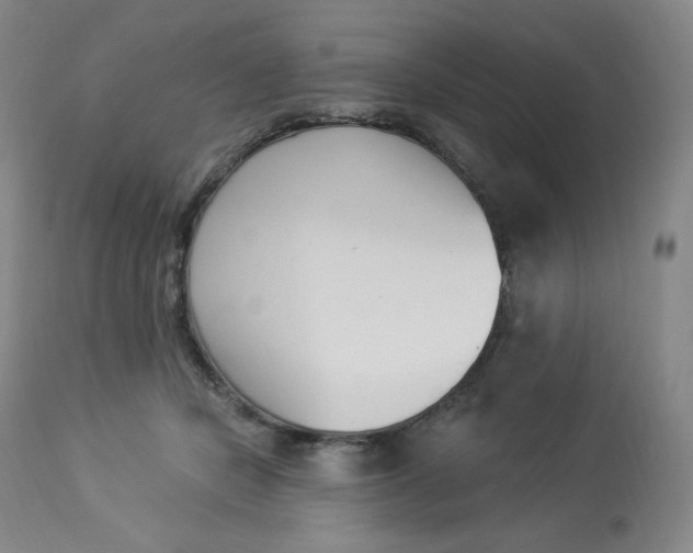 X0000112840462200909111426