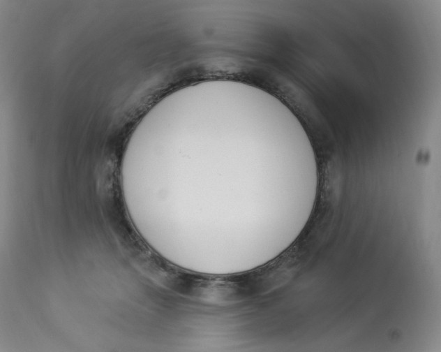 X0000112840463200909111426