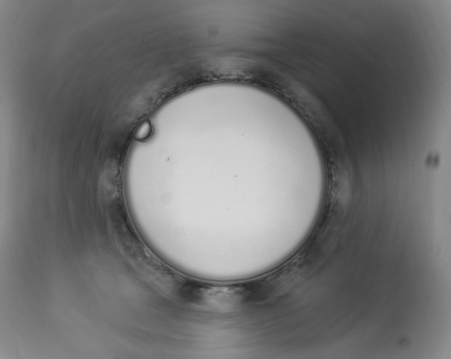 X0000112840465200909111426