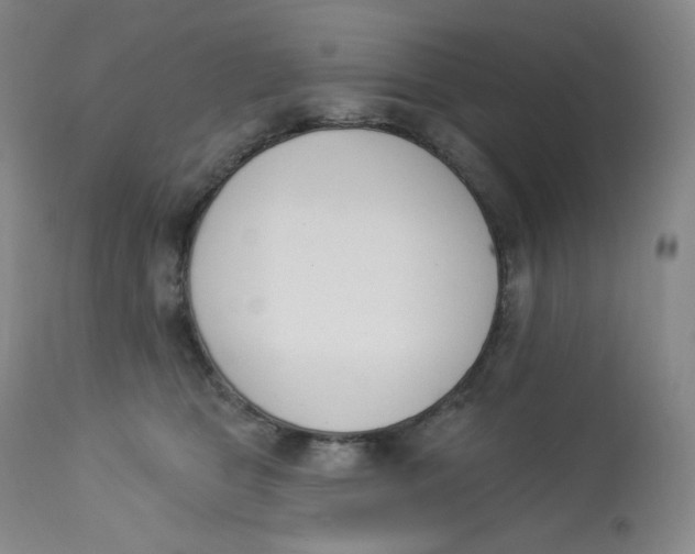 X0000112840469200909111426