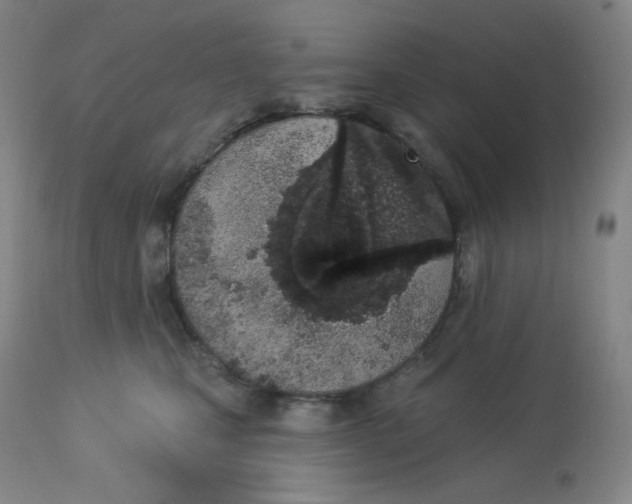 X0000112840471200909111426