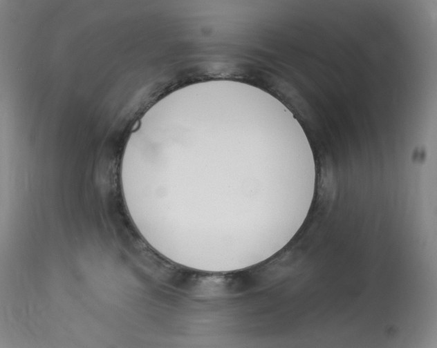 X0000112840473200909111426