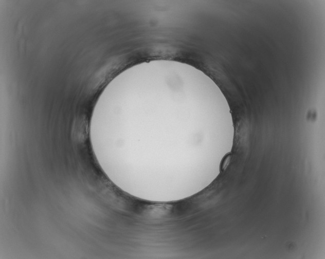 X0000112840474200909111426