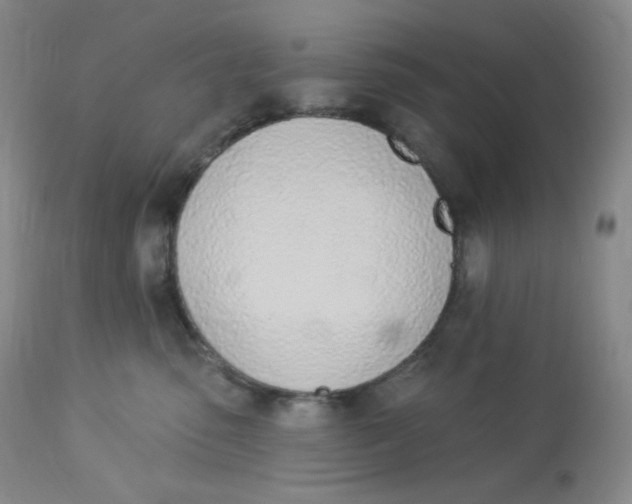 X0000112840475200909111426