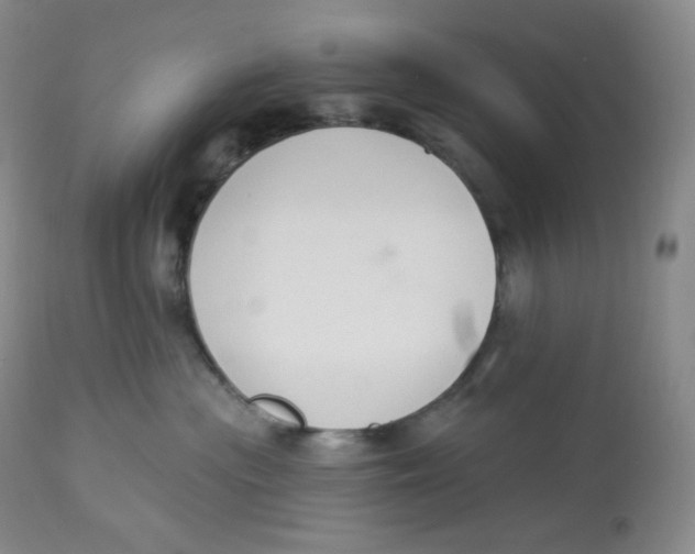 X0000112840477200909111426