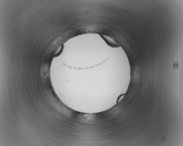 X0000112840478200909111426