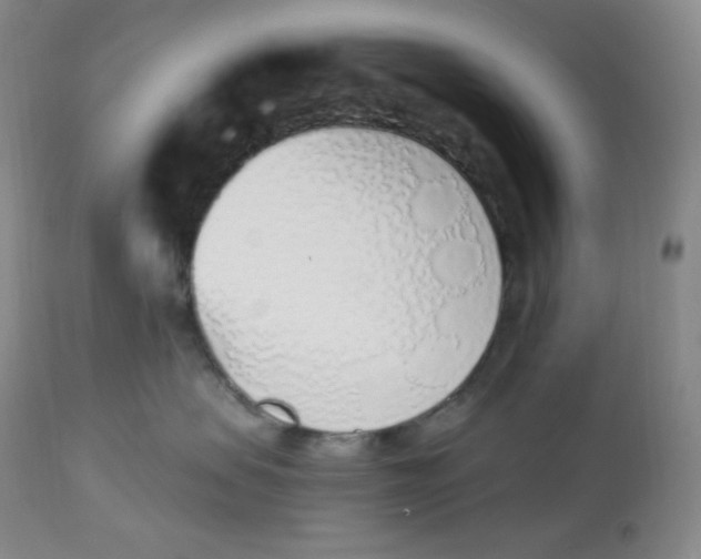 X0000112840479200909111426