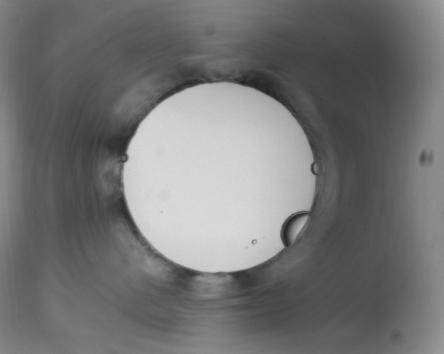 X0000112840480200909111426