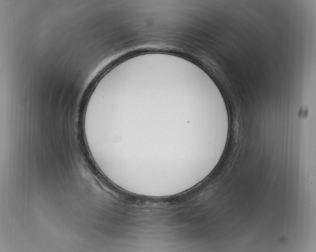 X0000112840484200909111425