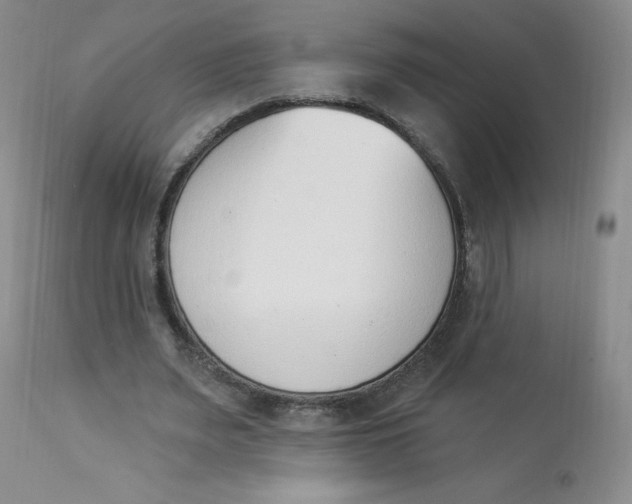 X0000112840487200909111425