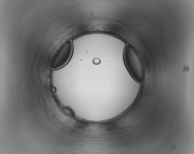 X0000112840489200909111425