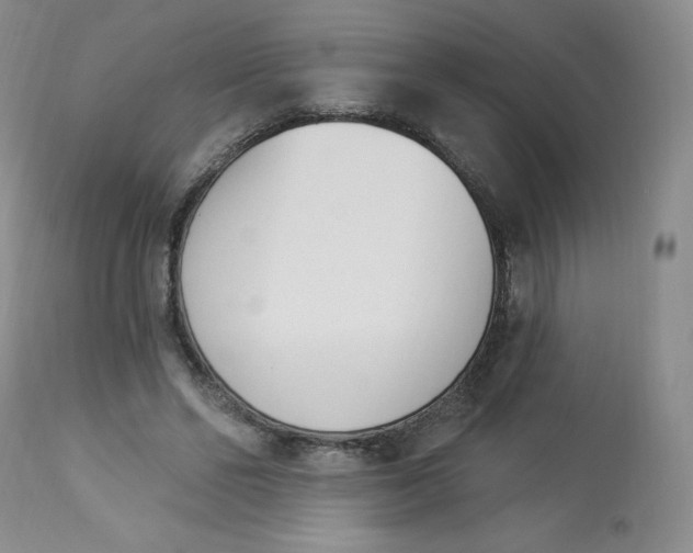 X0000112840494200909111425