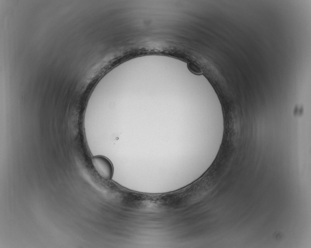 X0000112840496200909111425