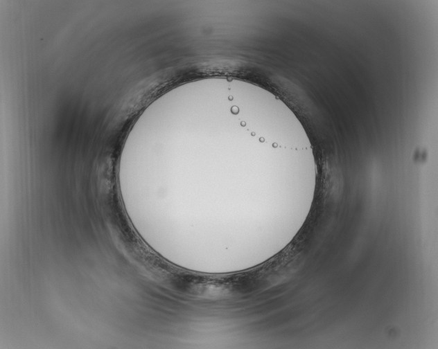 X0000112840498200909111425