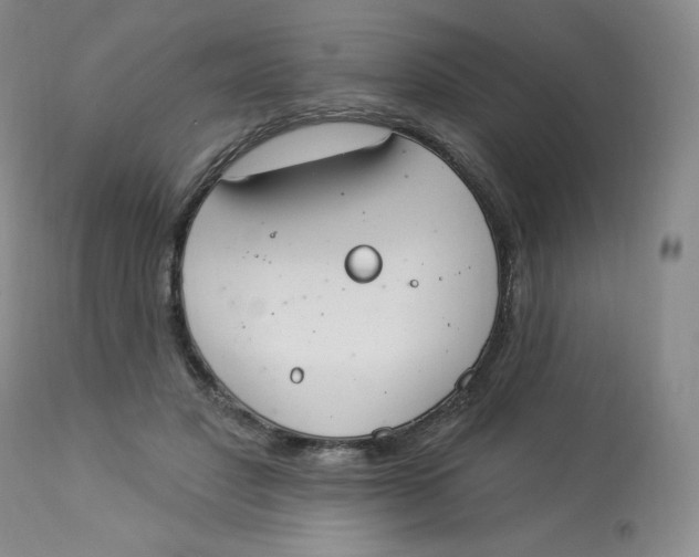 X0000112840501200909111425