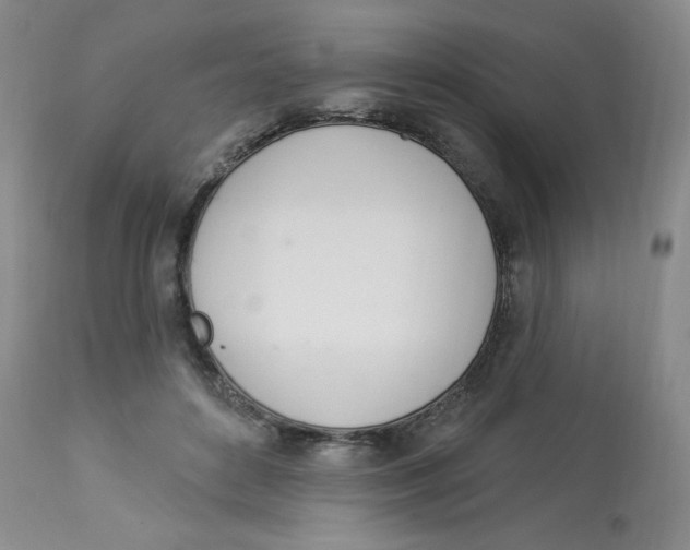 X0000112840504200909111425