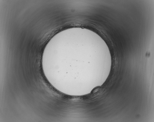 X0000112840505200909111425