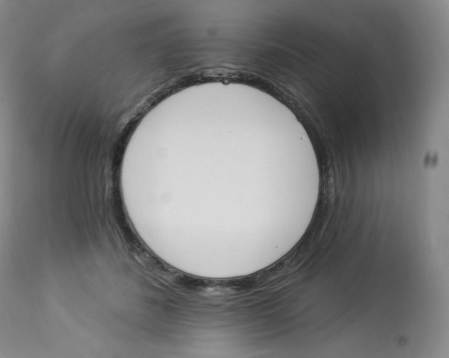 X0000112840508200909111425