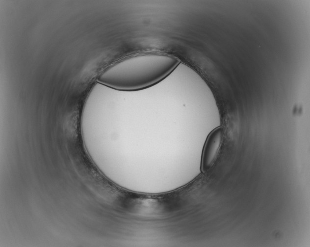 X0000112840509200909111425