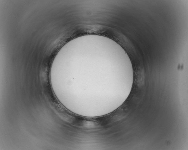 X0000112840510200909111425