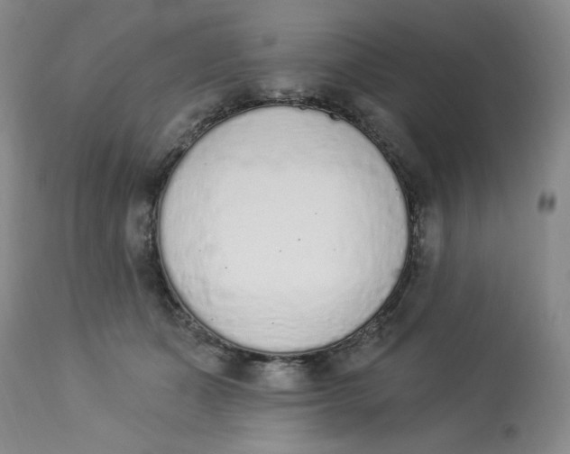 X0000112840511200909111425