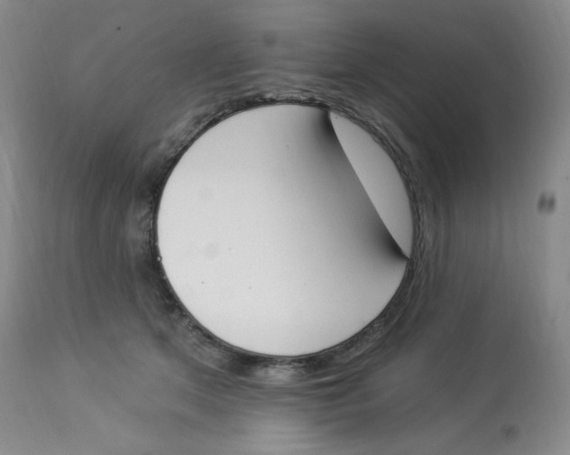 X0000112840513200909111425