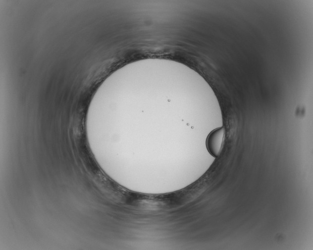 X0000112840515200909111425