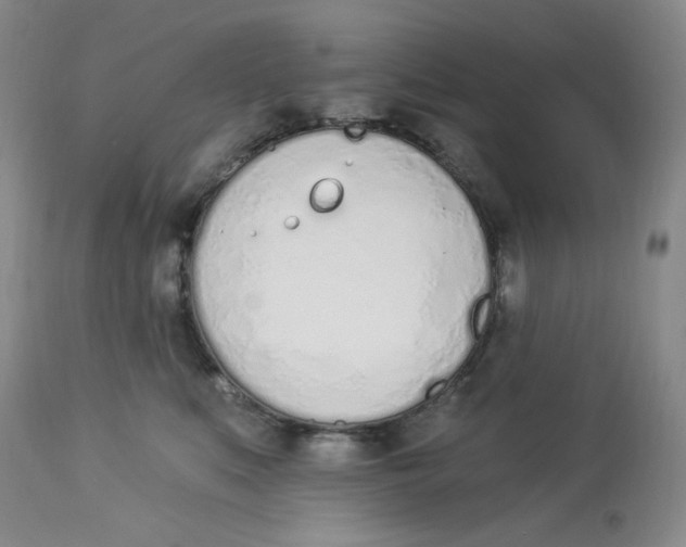 X0000112840519200909111425