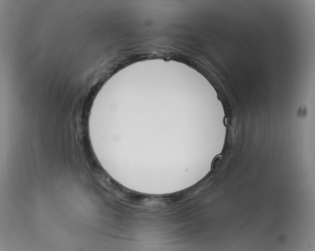 X0000112840520200909111425