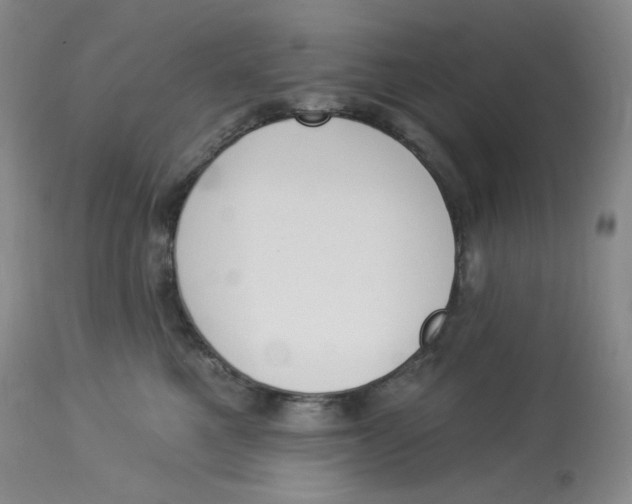 X0000112840521200909111425