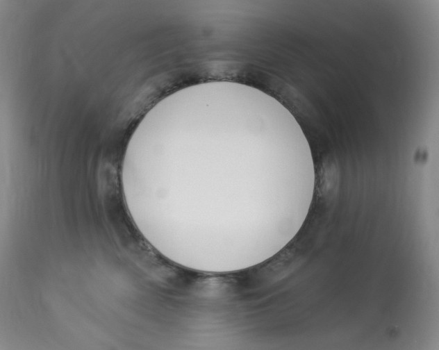 X0000112840522200909111425