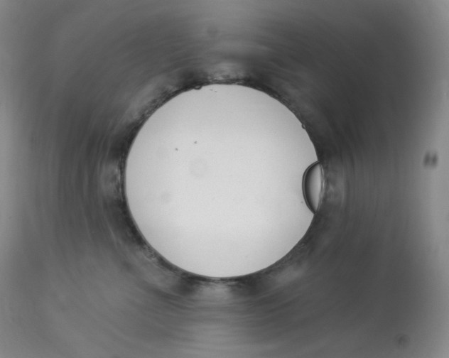 X0000112840523200909111424