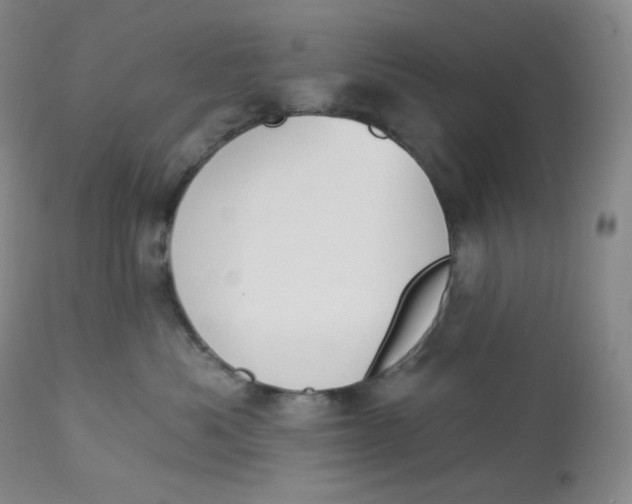 X0000112840525200909111424