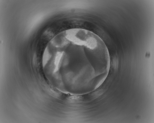 X0000112840526200909111424