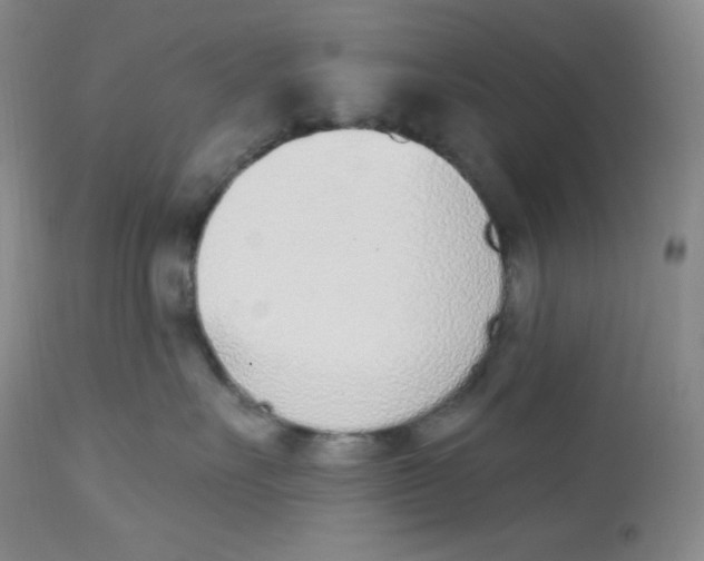 X0000112840527200909111424