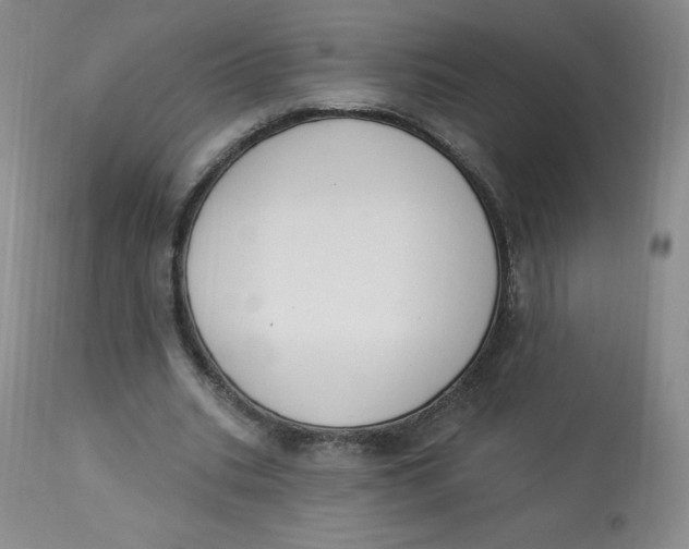 X0000112840535200909111424