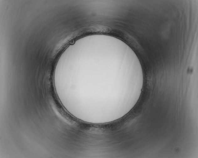 X0000112840538200909111424