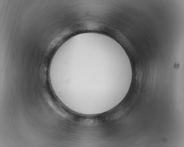 X0000112840542200909111424