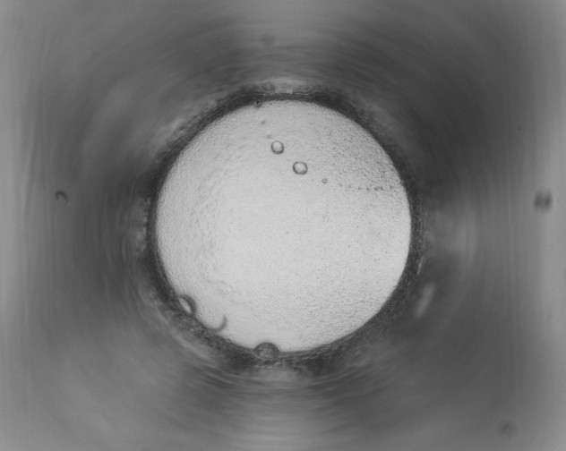 X0000112840545200909111424