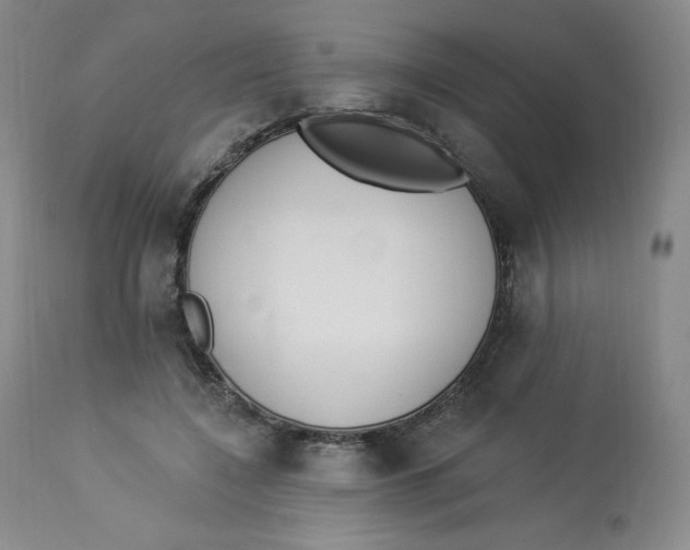 X0000112840548200909111424