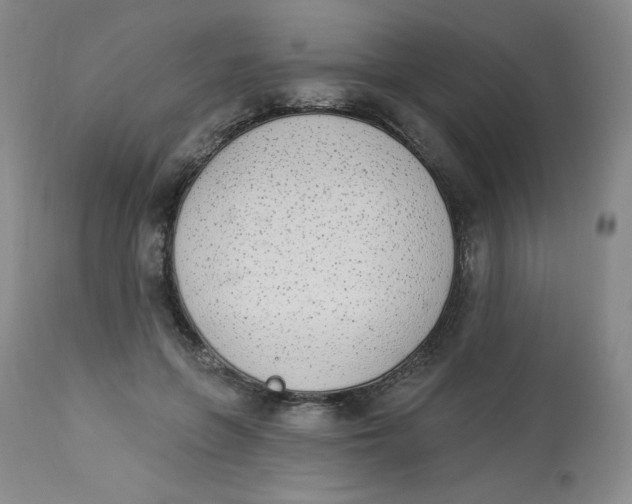 X0000112840551200909111424