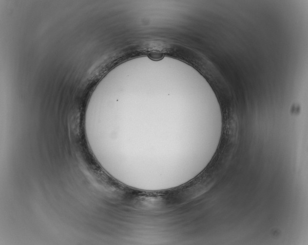 X0000112840552200909111424