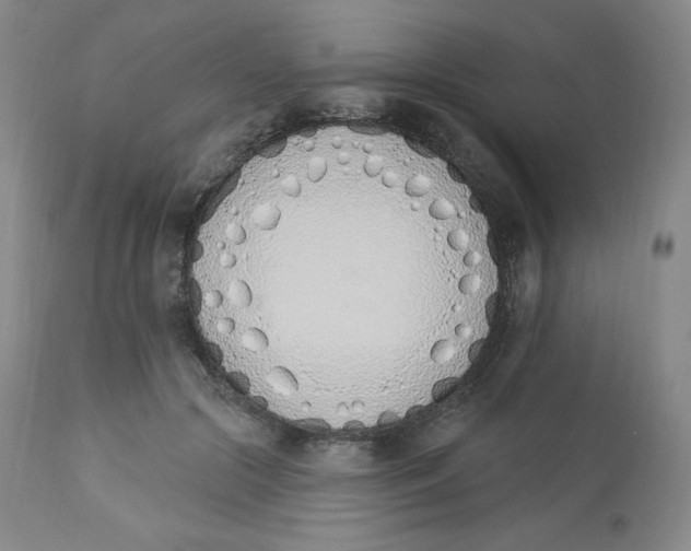 X0000112840553200909111424