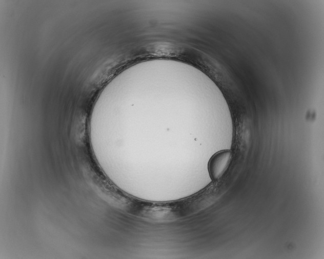 X0000112840554200909111424